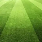 O problema com a reforma da PFM 'Práticas recomendadas'