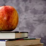 É menos arriscado comprar software a grandes fabricantes de software