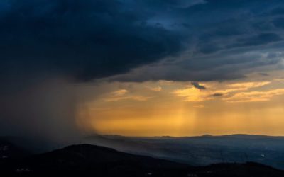 How Can Governments Transform Country Resilience?
