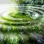 De overheidsbalans voor welzijn