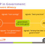 ERP in Government: &quot;Mimicry&quot; in Action?