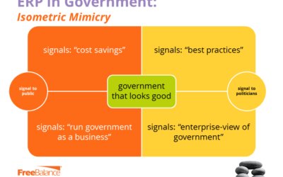 ERP in Government: "Mimicry" in Action?