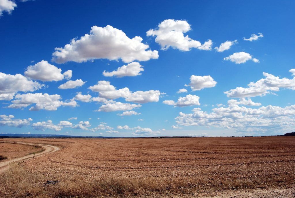 Smart and Open Government News Roundup