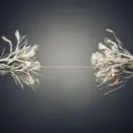 De waarde van programmabudgettering in een permacrisis