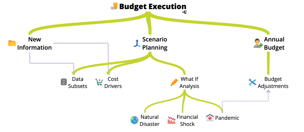 Budget Execution