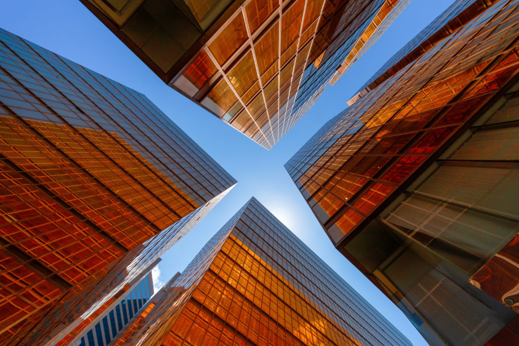 El valor de una arquitectura de soluciones FMIS gubernamental