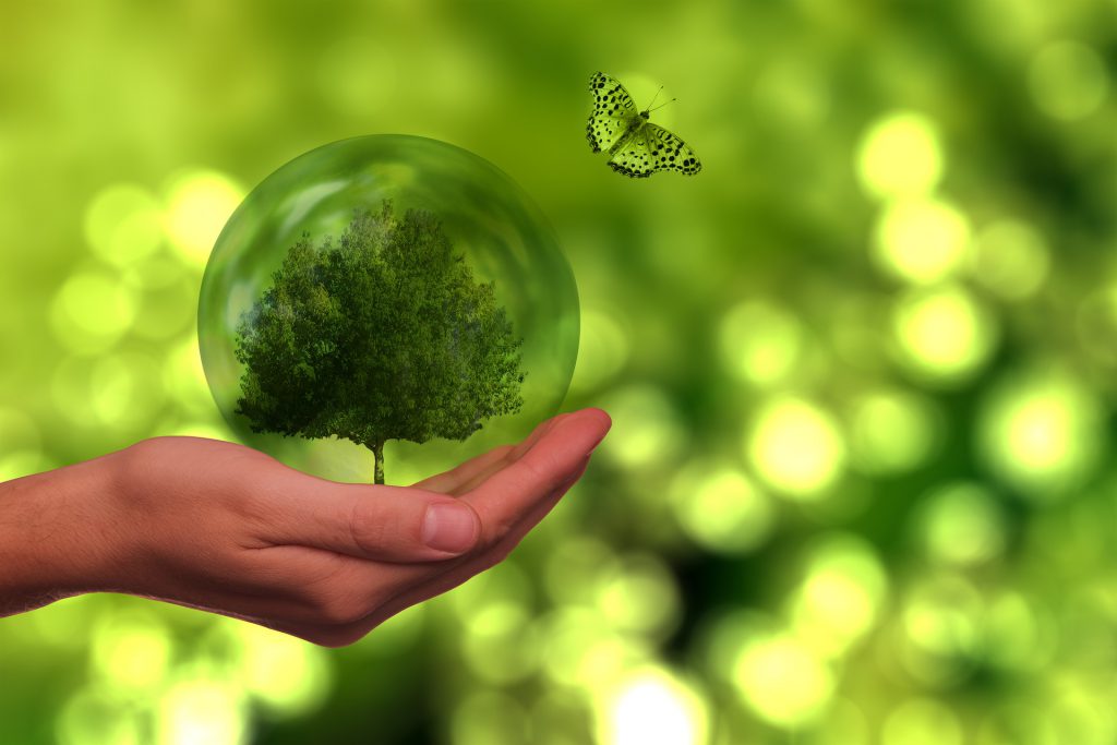 How Does Public Financial Management Support the SDGs?