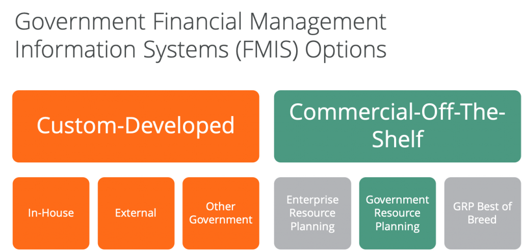 Government Financial Management Information Systems Options