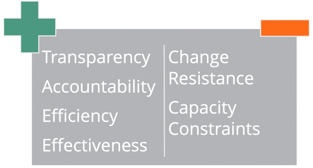 Common Challenges in FMIS Implementations