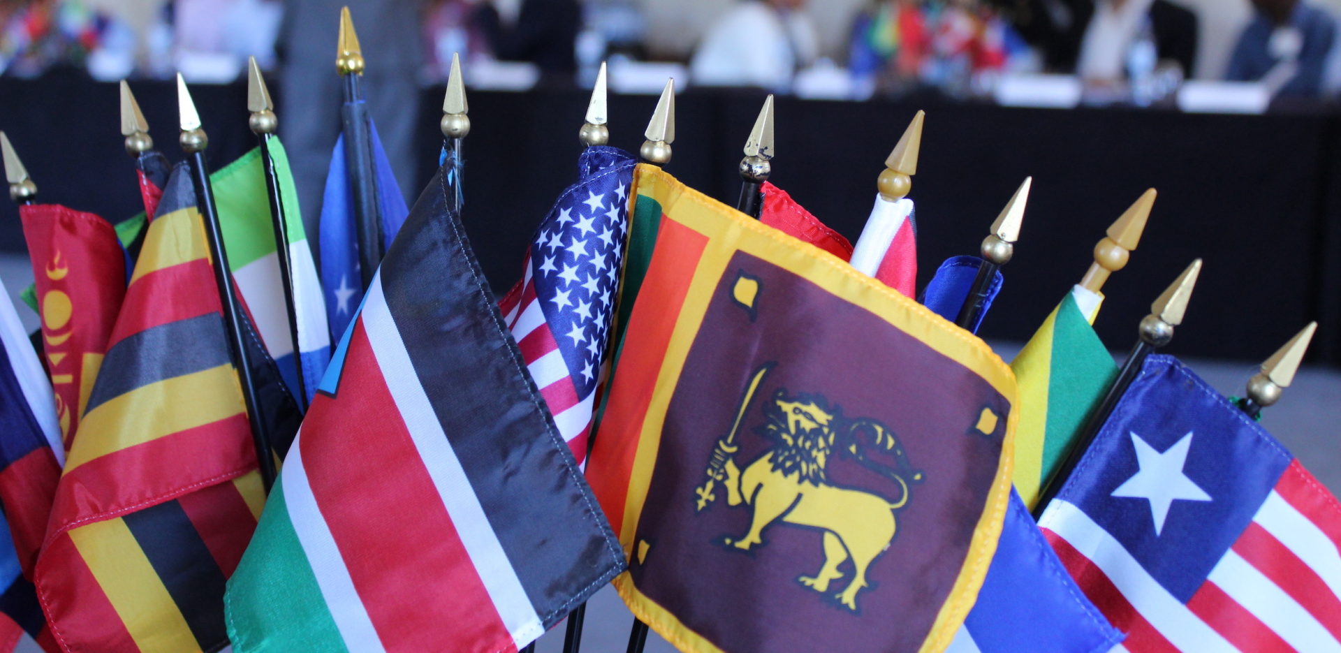 Illustration of FreeBalance Partner Portal