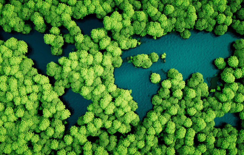 How Can a Strong PFM System Help to Deliver the SDGs?