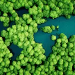 How Can a Strong PFM System Help to Deliver the SDGs?