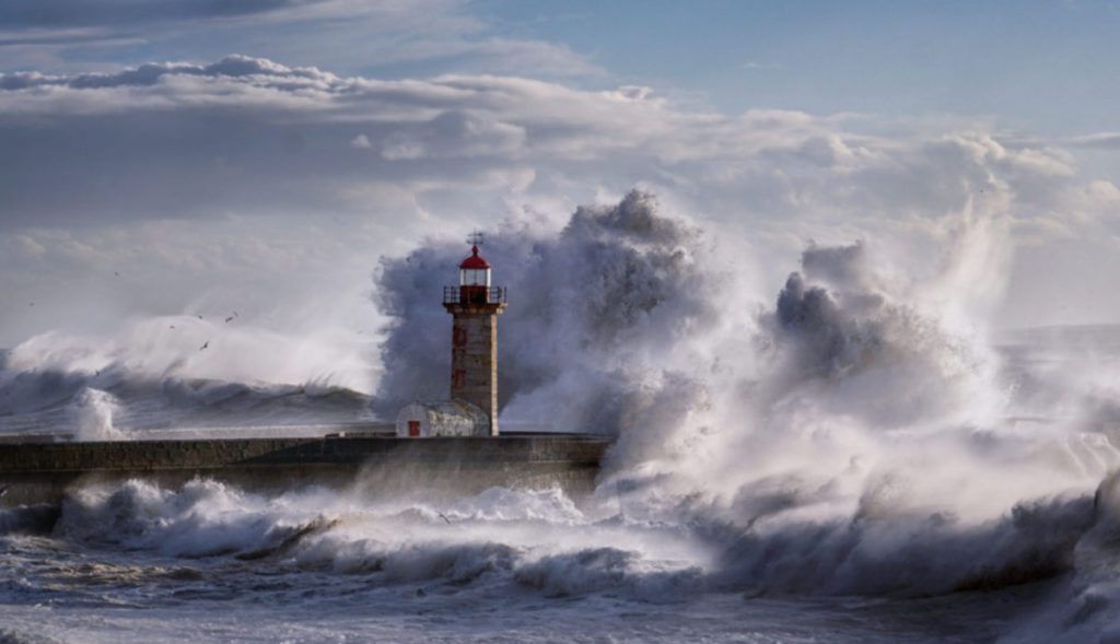 Lições de Resiliência PFM