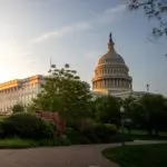 Is overheidsprestatie een oxymoron?