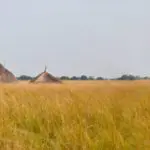 Renforcement des capacités au Sud-Soudan