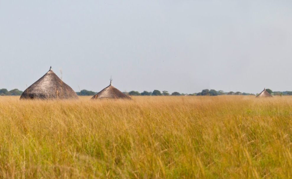 Capacity Building in South Sudan