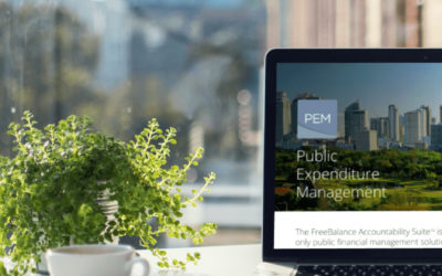 Maximizando a eficiência e a transparência na gestão de despesas públicas com ferramentas digitais
