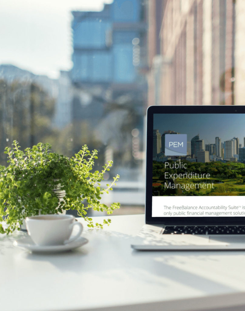 Maximizing Efficiency and Transparency in Public Expenditure Management with Digital Tools