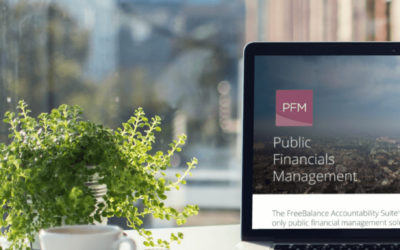 Liberando o poder da transformação digital na gestão financeira pública