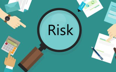 How Public Financial Management Mitigates Global Risks