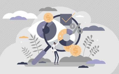 Can Transparency Solve the Public Debt Crisis?