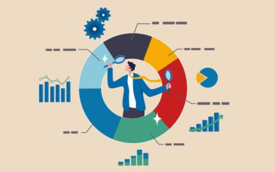The Importance of Government Revenue Management