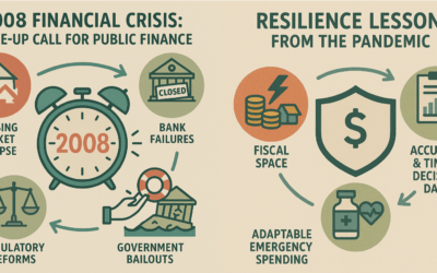 Shock Proofing: Build Public Financial Resilience